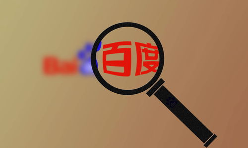 蜘蛛池怎么实现收录,蜘蛛池秒收录